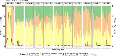 Microbiological Surveillance of Biogas Plants: Targeting Acetogenic Community